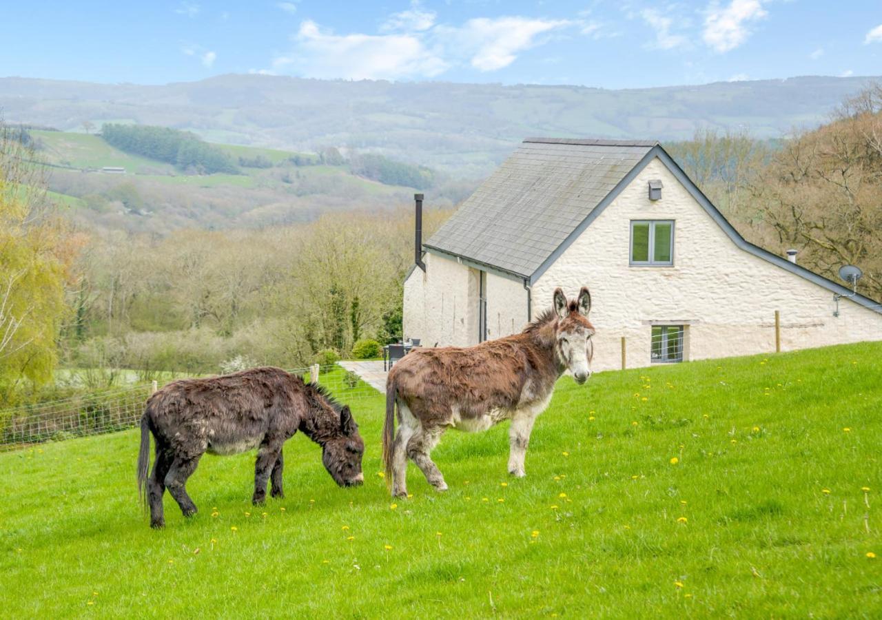 Апартаменти Usk Barn Llanbadoc Екстер'єр фото